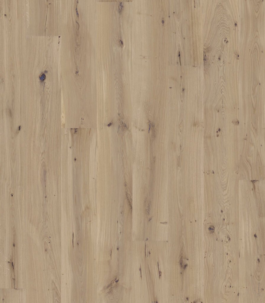 Vue du parquet