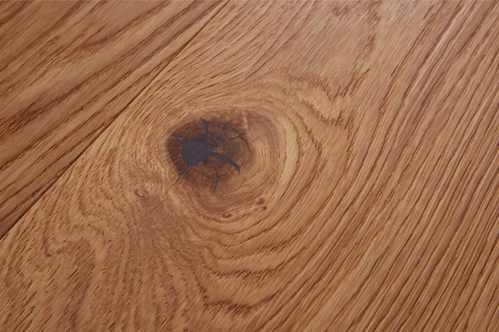 Vue du parquet
