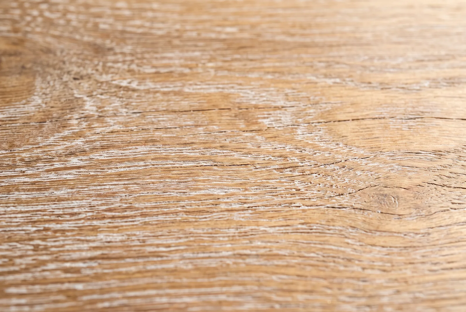 Texture de chêne cérusé blanc en macro